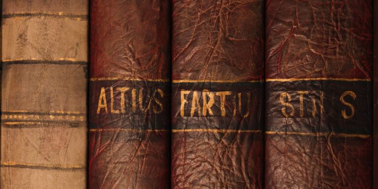Close-up of antique leather book bindings with ornate, time-worn texture