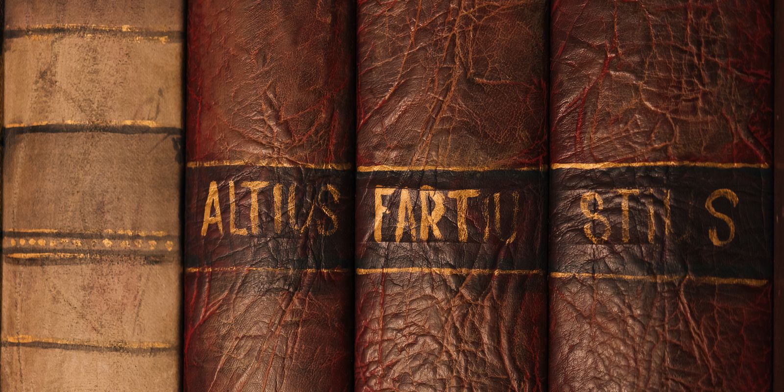 Close-up of antique leather book bindings with ornate, time-worn texture