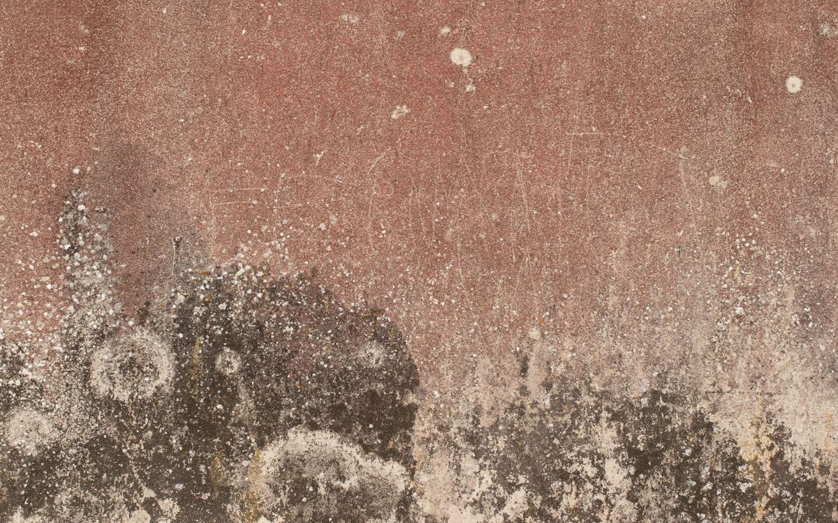 Close-up of aged brown leather showing grain and soft creasing